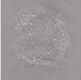 IIISetOne80x802a
