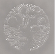 IIISetTwo108x108