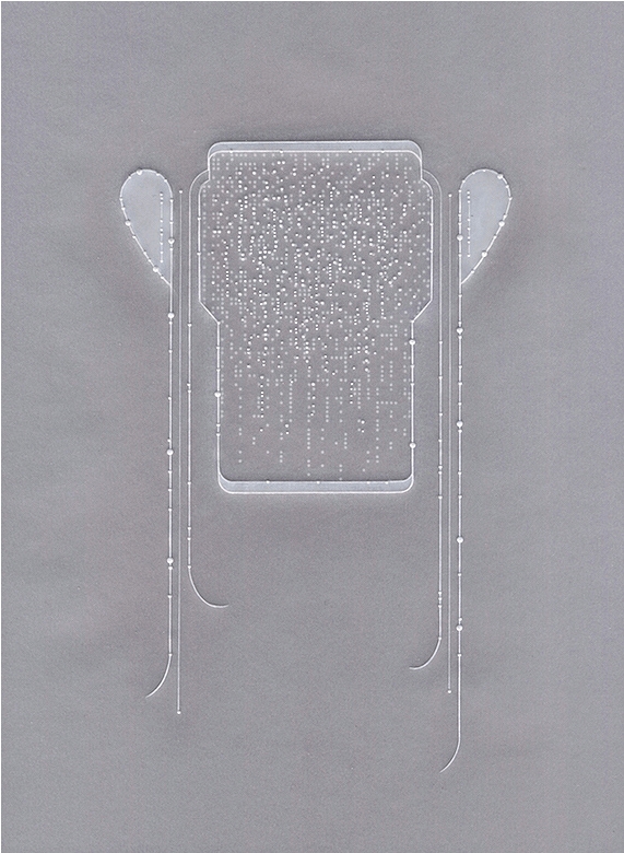 shakereductionXVIISetOneXV600dpi