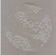 XIISetOne80x80a